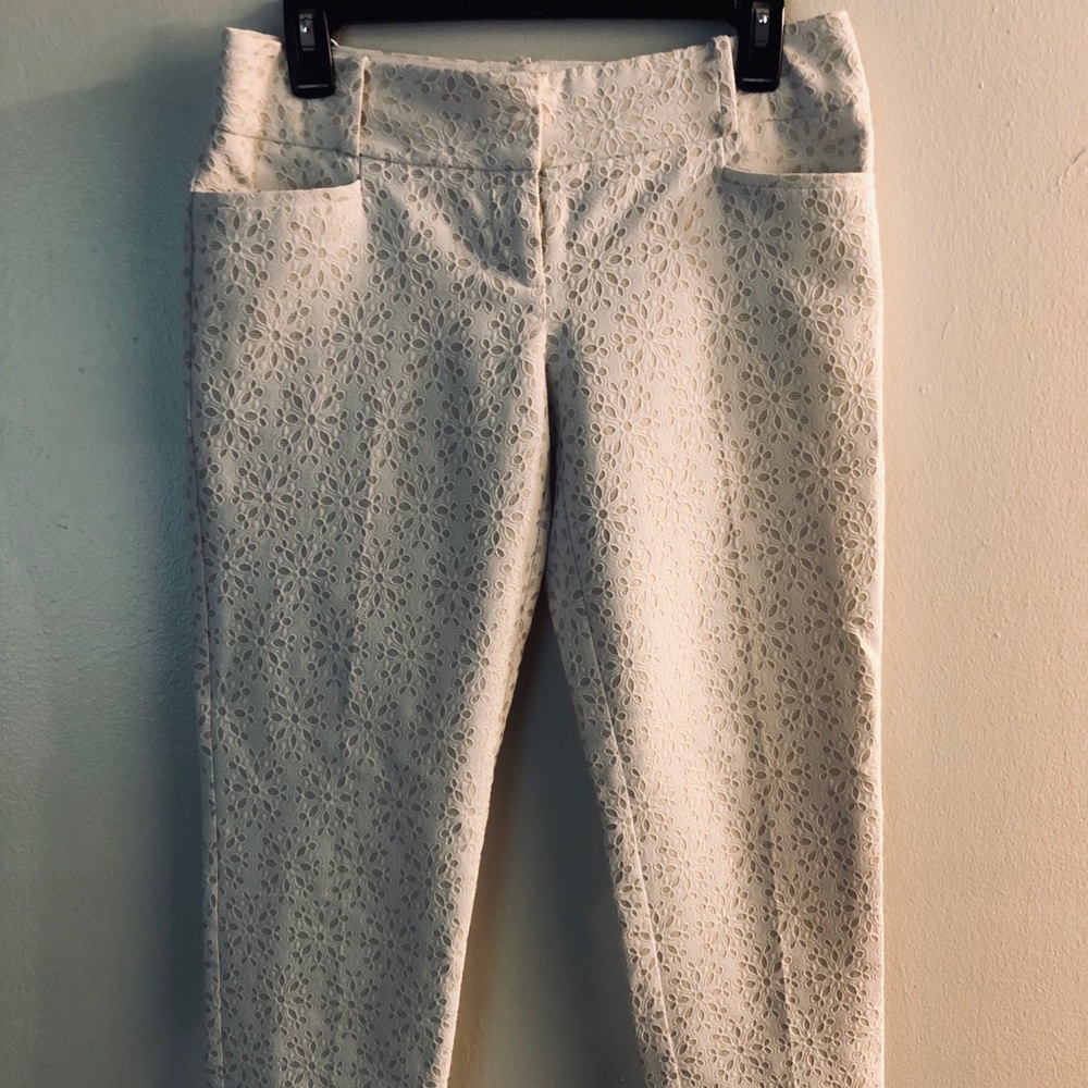 The Limited Embroidered Pants